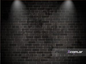 Fondo fotográfico para sesión de fotos | Plotter7